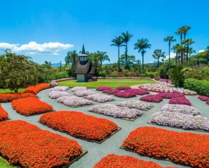 Conheça Joinville e a brisa das flores do Parque Hemero