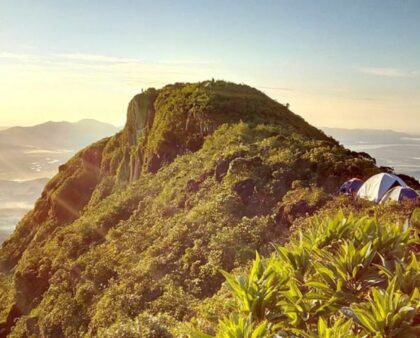 Monte Crista